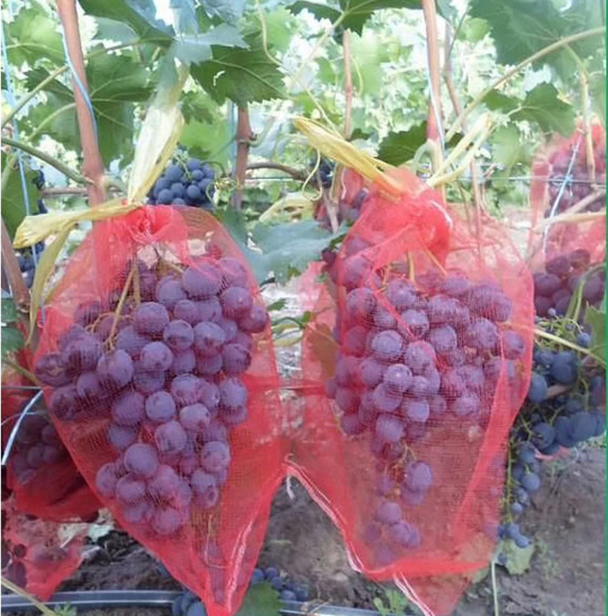 Мешочки для винограда